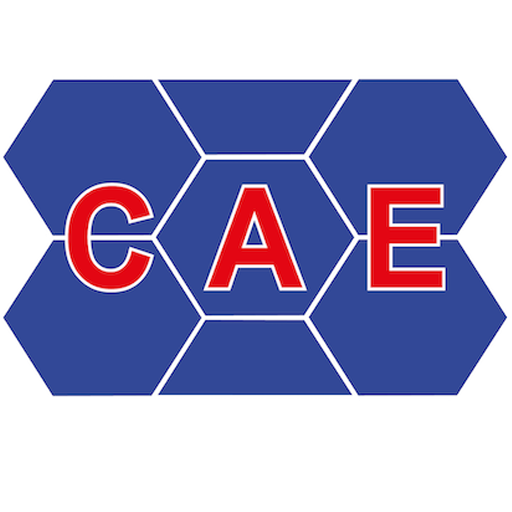 CAE Sales Team